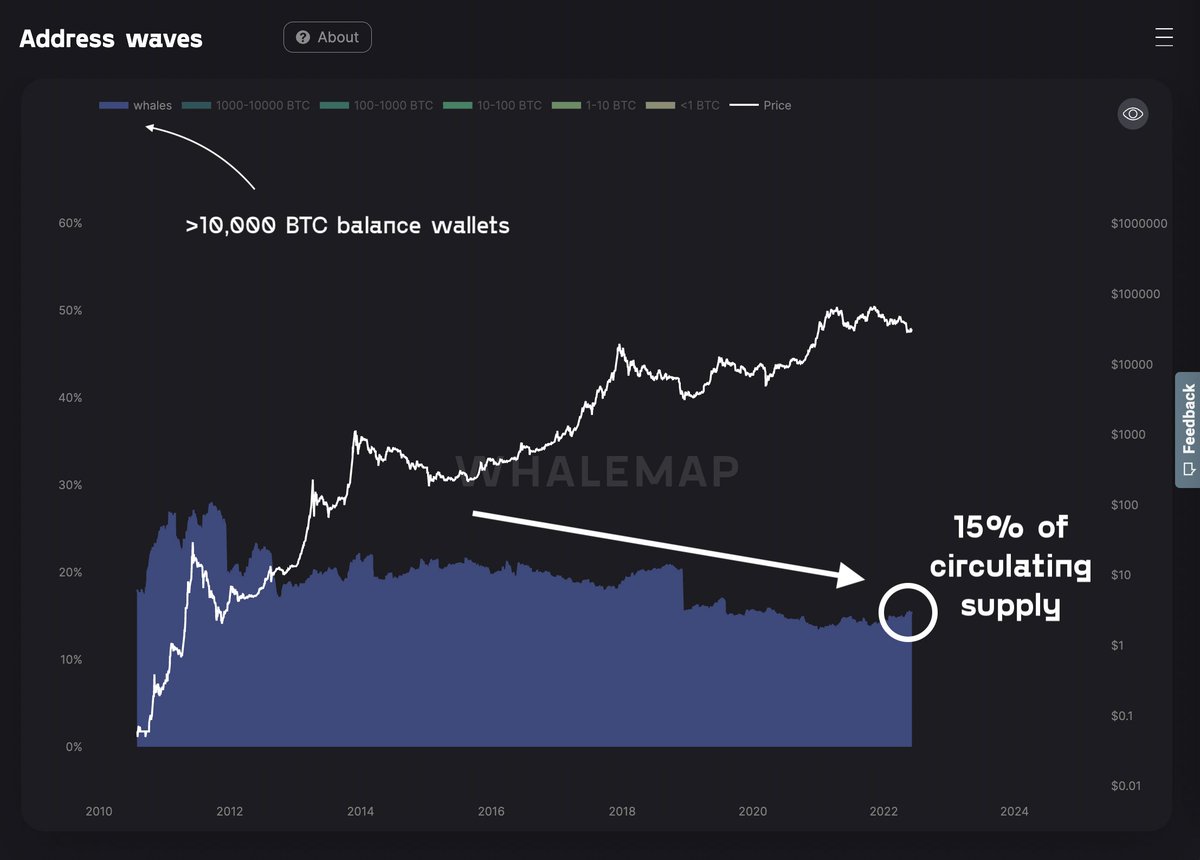 Whalemap