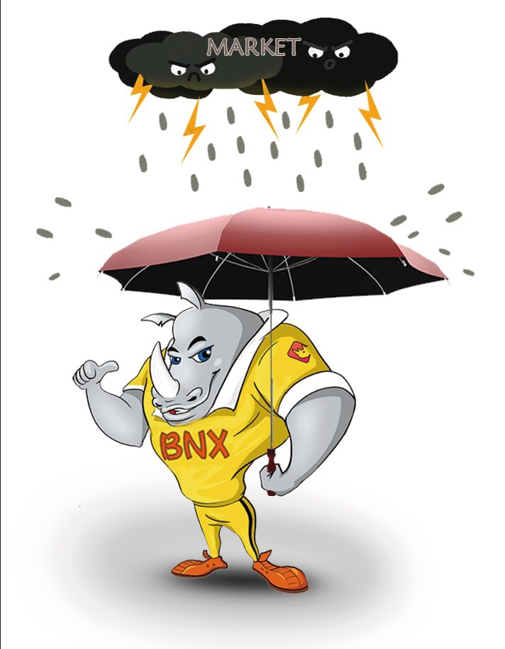 BinaryX
