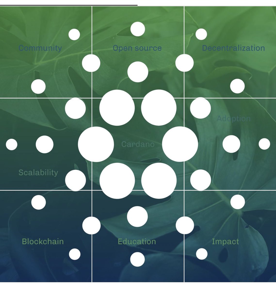 Cardano Cardano