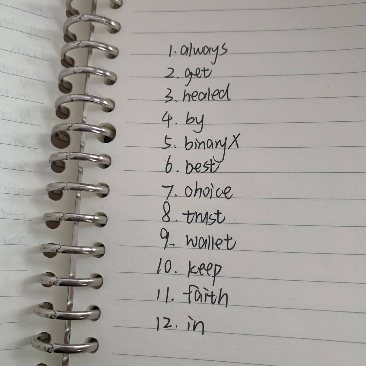 BinaryX
