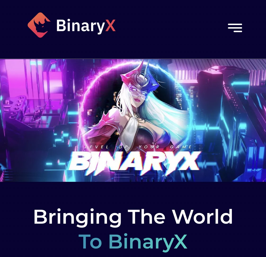 BinaryX