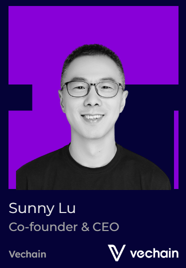 VeChain VeChain
