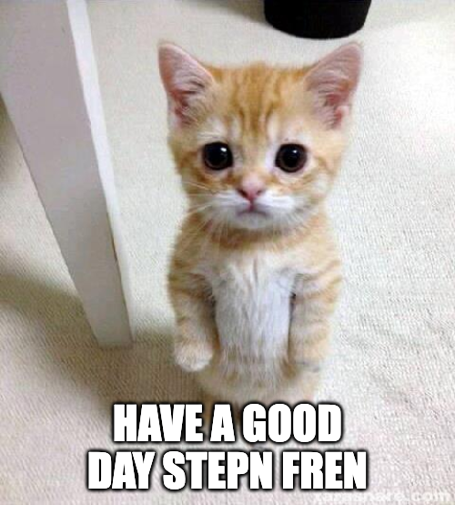 STEPN