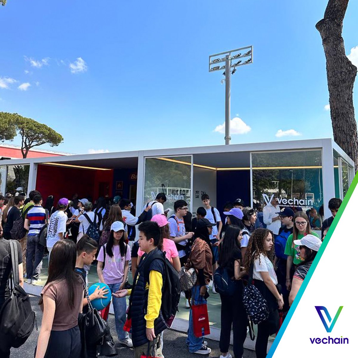 VeChain2 VeChain2