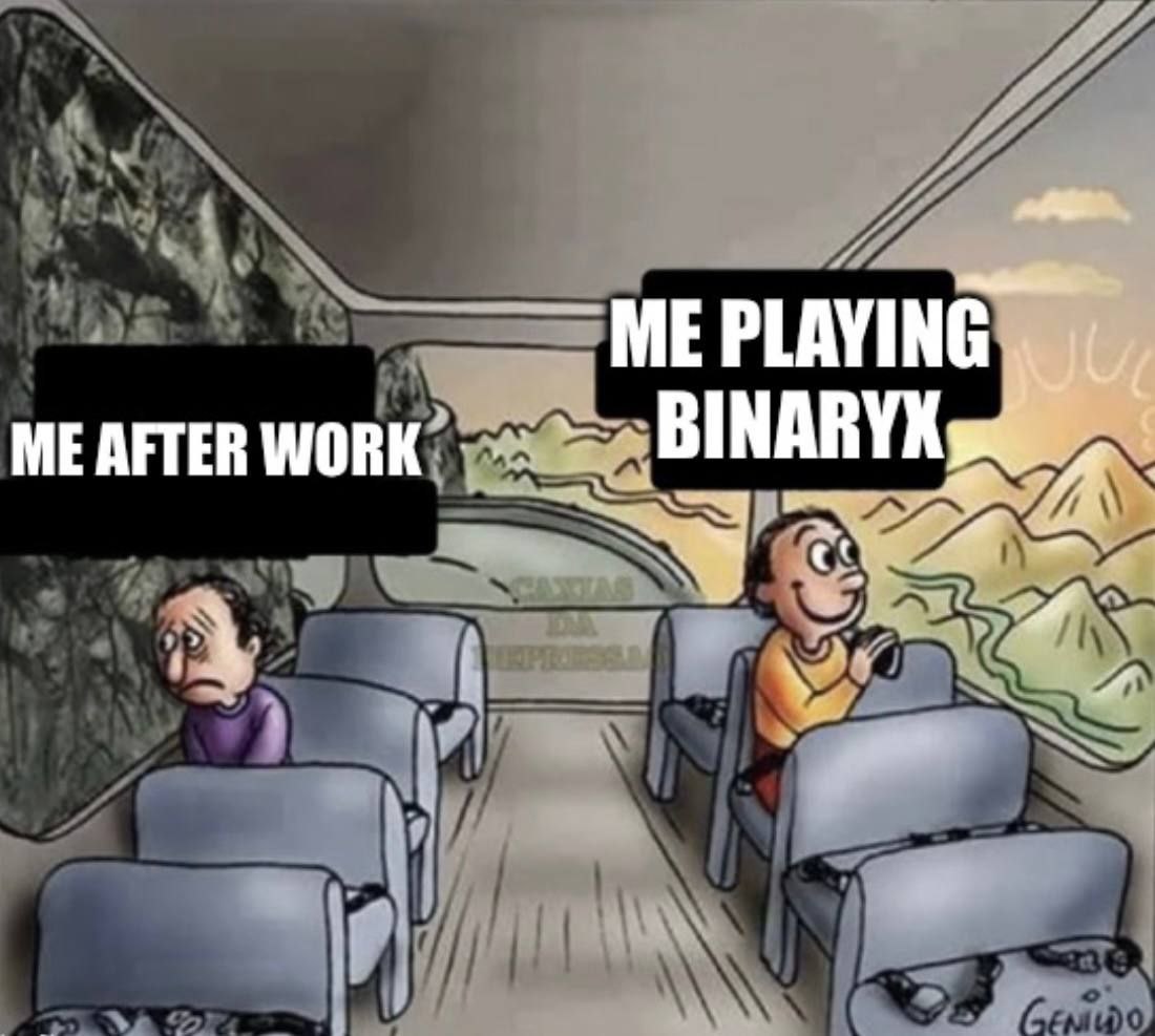 BinaryX