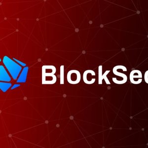 BlockSec：6 个人、8 个月，我们做到了