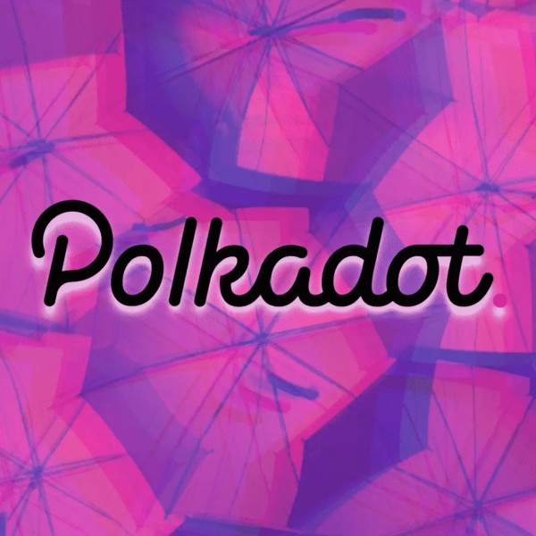 Cardano、Starknet 等为什么选择 Polkadot 技术栈？