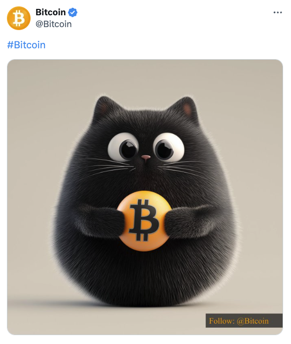 Bitcoin 官方账号发布带有 Bitcoin Logo 的猫图片，Meme 币 BITCAT 市值达 1310 万美元